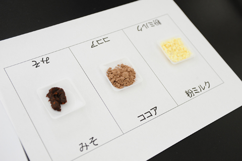 水に溶ける物・溶けない物｜アルファ実験教室