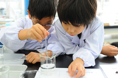 水に溶ける物・溶けない物｜アルファ実験教室